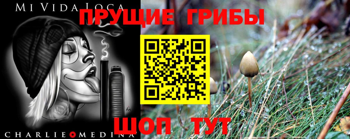 Нижний Новгород  Псилоцибиновые грибы Magic Shrooms  Вход с VPN 